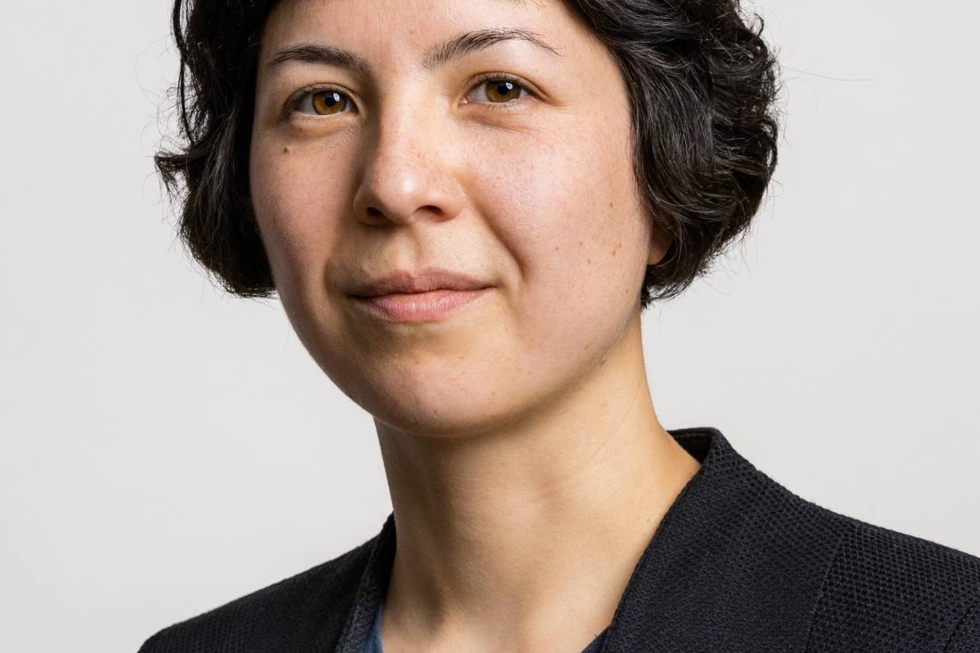 Basler Advokat:Innen