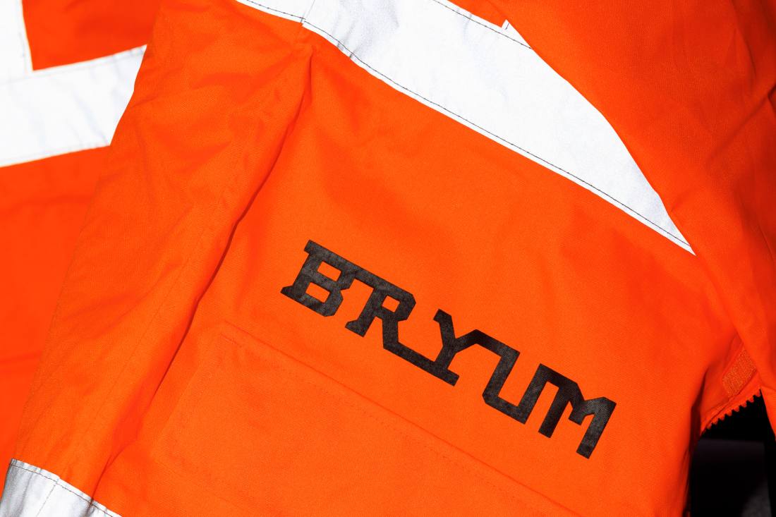 Bryum