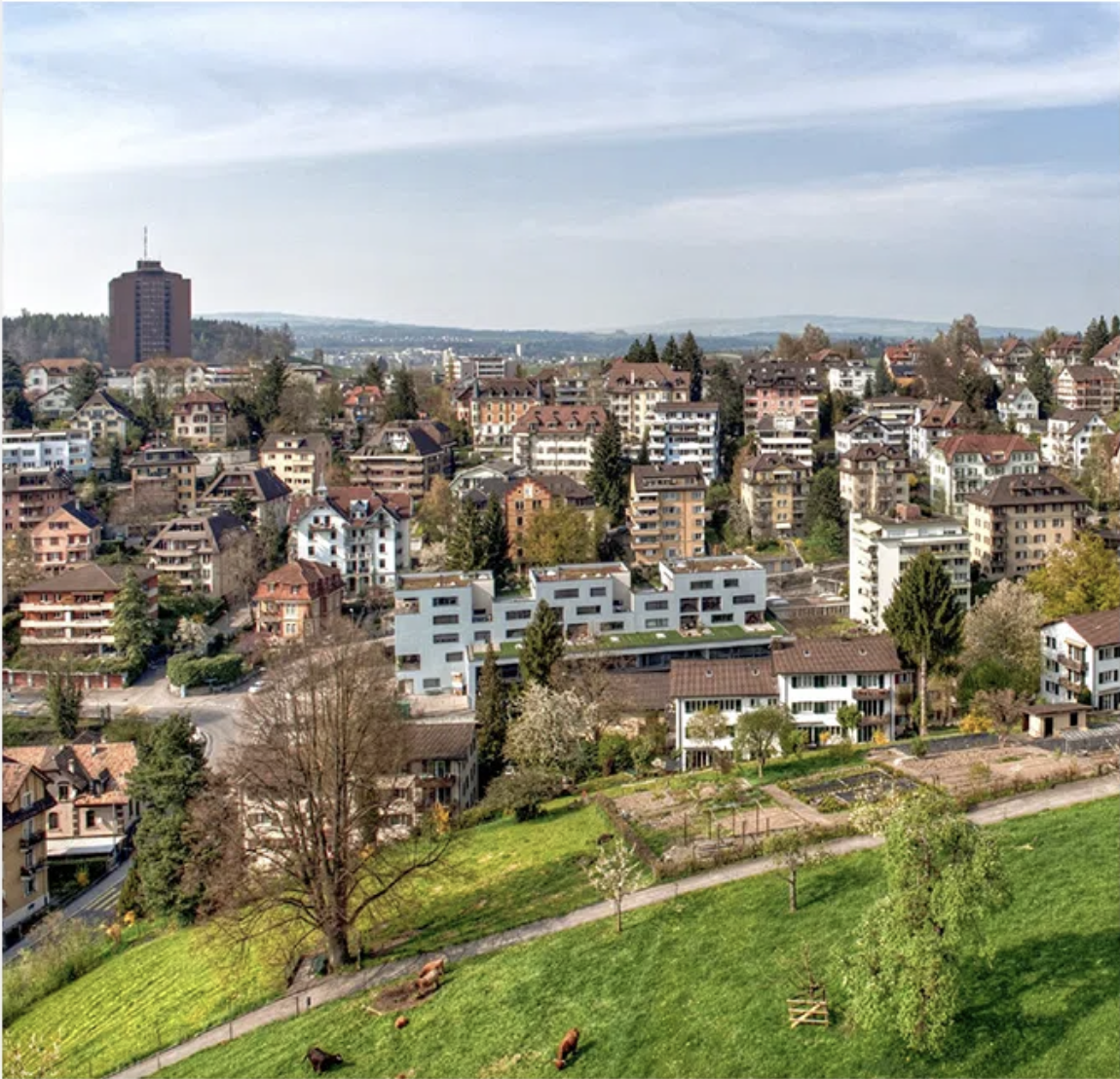 Diskussionspapier: Soziale Nachhaltigkeit